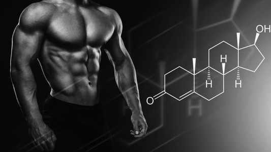 How to Naturally Increase Testosterone Through Training and Diet