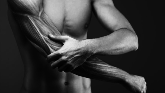 Why You’re Not Sore Anymore - And Why That Doesn’t Mean You’re Not Growing